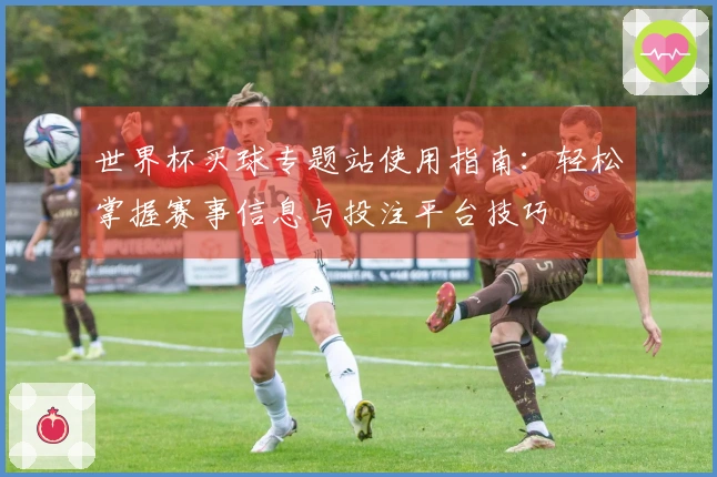 世界杯买球专题站使用指南：轻松掌握赛事信息与投注平台技巧