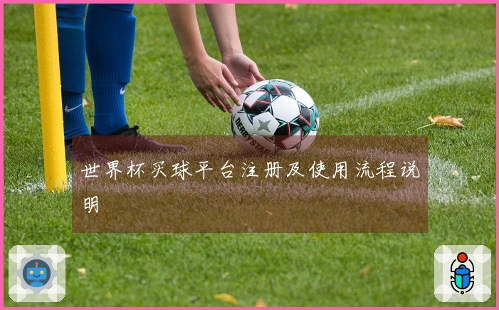 世界杯买球平台注册及使用流程说明