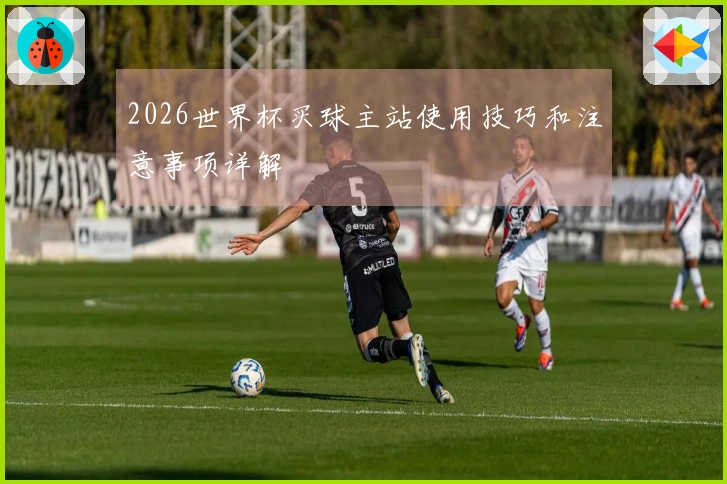 2026世界杯买球主站使用技巧和注意事项详解