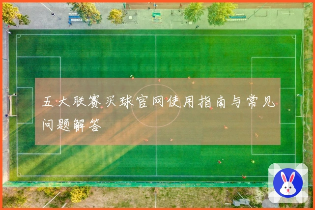 五大联赛买球官网使用指南与常见问题解答