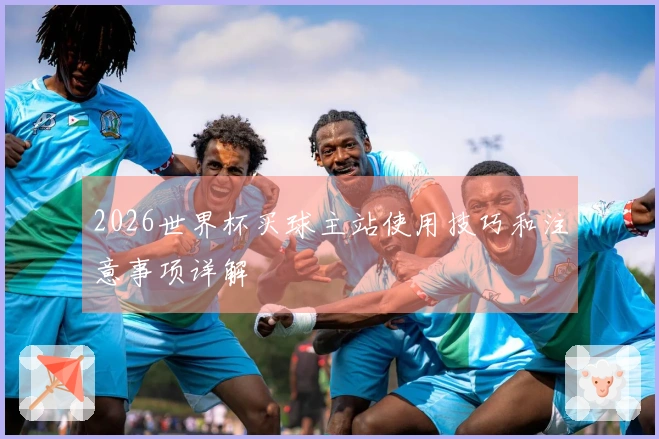 2026世界杯买球主站使用技巧和注意事项详解