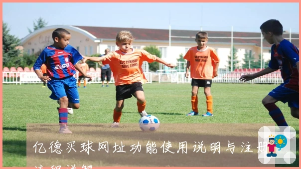 亿德买球网址功能使用说明与注册流程详解