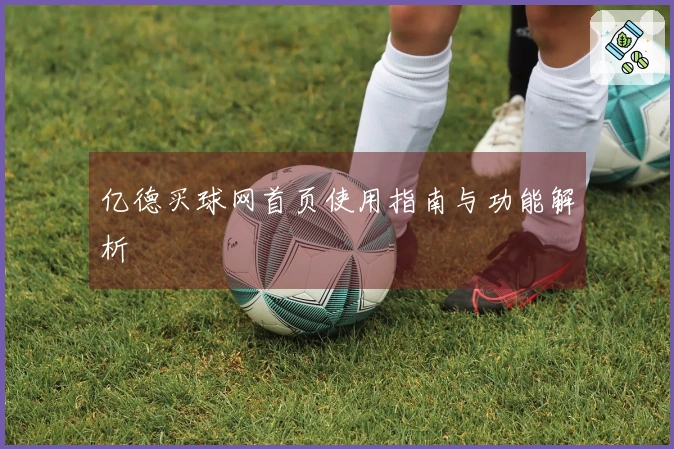 亿德买球网首页使用指南与功能解析