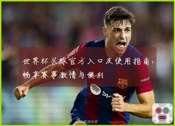 世界杯买球官方入口及使用指南，畅享赛事激情与便利