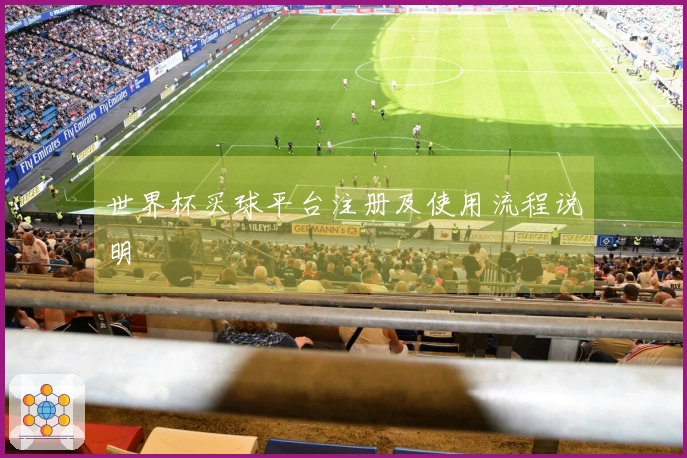 世界杯买球平台注册及使用流程说明